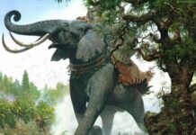 Con voi với người quản tượng già