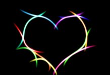 Quà tặng cuộc sống #2