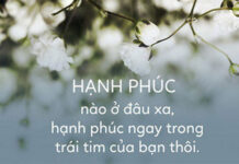 7 câu chuyện thâm thúy về hạnh phúc, ý nghĩa cuộc sống: Chân lý đơn giản nhưng hầu hết mọi người không nhận ra