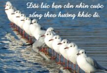 Hãy sống như hôm nay là ngày cuối cùng của bạn!