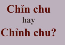 Chỉn chu hay chỉnh chu, từ nào là đúng chính tả?