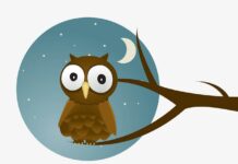 Truyện cổ tích song ngữ: The owl (Con cú)