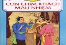 Con chim khách mầu nhiệm