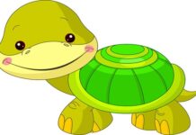 Con rùa khôn ngoan