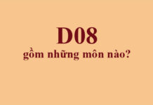 D08 gồm những môn nào?