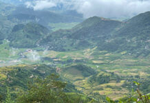 Đừng rời mắt khỏi chữ why