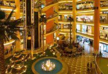 AI CẬP – Bữa cơm tối lúc 2h sáng