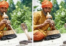 Chỉ có thiên tài mới tìm ra được hết những điểm khác biệt trong 9 bức hình dưới đây