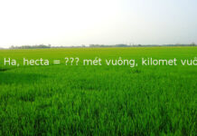 Đố bạn: 1 Ha (hecta) bằng bao nhiêu m2, km2?