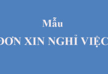 Mẫu đơn xin nghỉ việc thuyết phục nhất