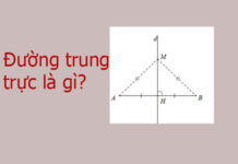 Đường trung trực là gì?