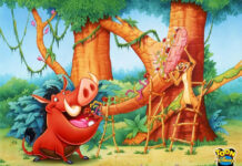 Lòng biết ơn và niềm mơ ước