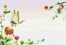 Cổ Tích Về Loài Bướm