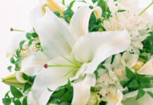 Sự tích hoa ly ly