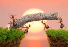 Khi bạn bị ném đi