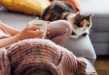 Cách làm phòng ấm hơn vào mùa đông