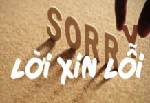 40 câu xin lỗi bằng tiếng Anh hay nhất
