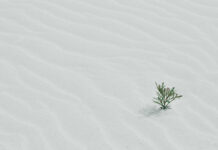 Nhượng quyền, chiến tranh, và chiếc răng đau