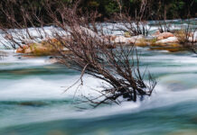 LÀM GÌ TRONG THỜI CÁI GÌ CŨNG KHÓ?