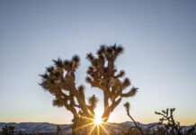 KHI HÀNH TRÌNH MỞ RA, KHÉP LẠI…