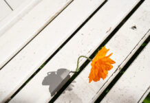 SỰ BẤT NHƯ Ý VÀ TÂM THẾ 2023