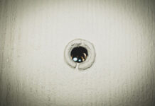 Để làm gì cơ chứ?