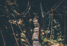 Kỹ năng dám đương đầu với rủi ro