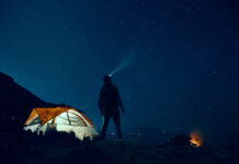 Lao động thời du mục