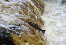 RÈN ĐỂ PHÁT TRIỂN BẢN THÂN