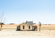 THẤY GÌ NĂM QUA?