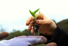 2025 – NĂM CHUYỂN GIAO