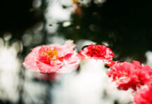 Great day to be alive