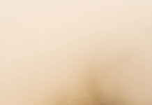 EM KHÔNG BIẾT MÌNH MUỐN GÌ