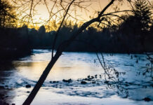 ĐỜI, KHÔNG CÓ GÌ LÀ HIỂN NHIÊN