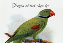 Sự tích chim năm trâu sáu cột và chim bắt cô trói cột