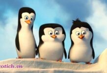 Sự tích chim cánh cụt