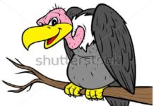 Sự tích chim Kền Kền