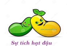 Sự tích hạt đậu