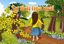 Sự tích hoa Mai vàng