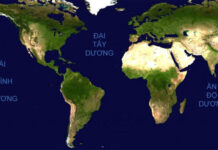 Những sự thật thú vị về Thái Bình Dương không phải ai cũng biết