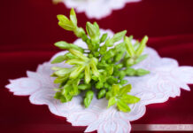 Sự tích hoa Thiên Lý