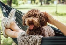 Những cách tự động hóa cuộc sống ai cũng có thể làm được