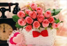 Bó hoa hồng tặng mẹ