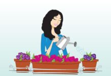 Sự tích hoa Antigon