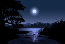 Năm ấy hoa nở trăng tròn