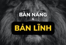 Bản năng và bản lĩnh
