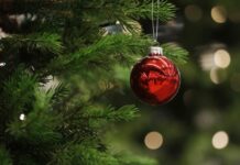 Sức mạnh của sự im lặng