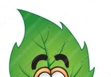 Chiếc lá hoàn mỹ – Web Giải Bài Tập