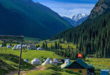 Một mùa xuân nho nhỏ