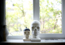 VẤN ĐỀ & QUÁI THÚ